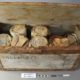 Antarctic Heritage Trust - golden syrup
