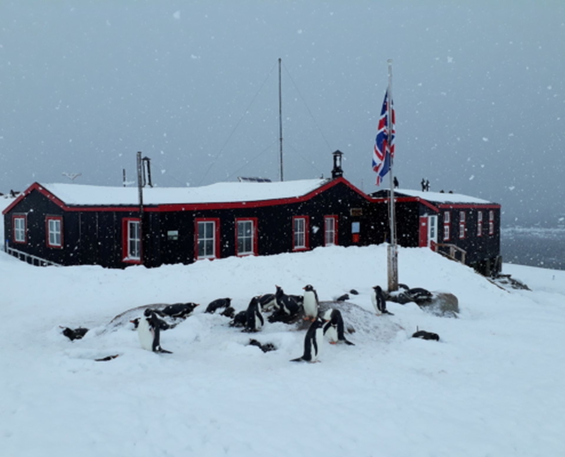 Base A at Port Lockroy in winter