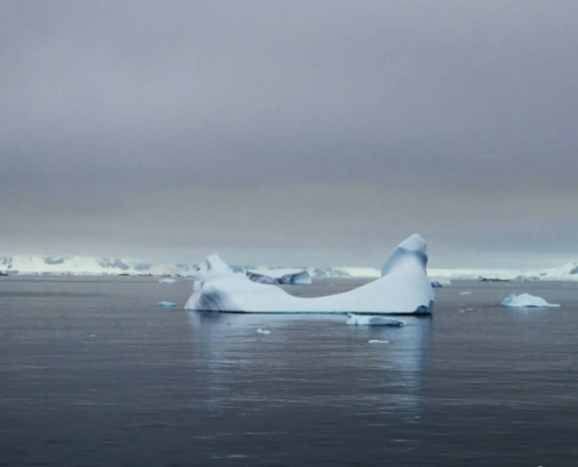 Iceberg