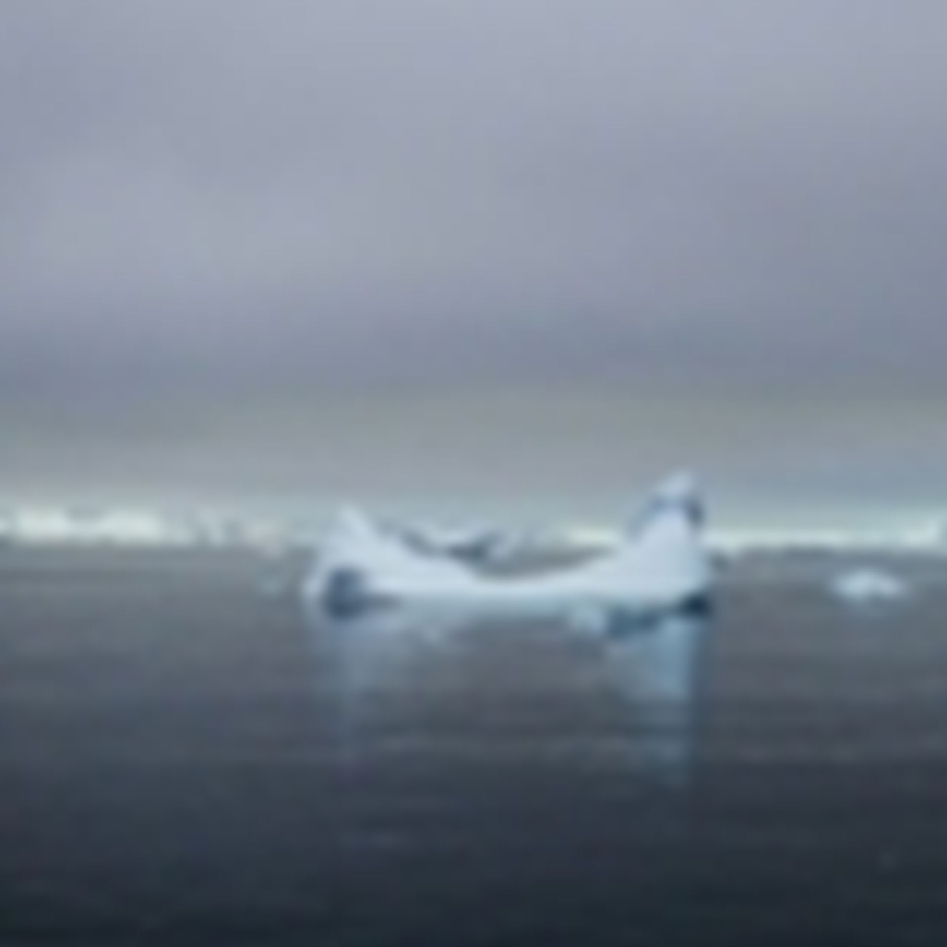 Iceberg