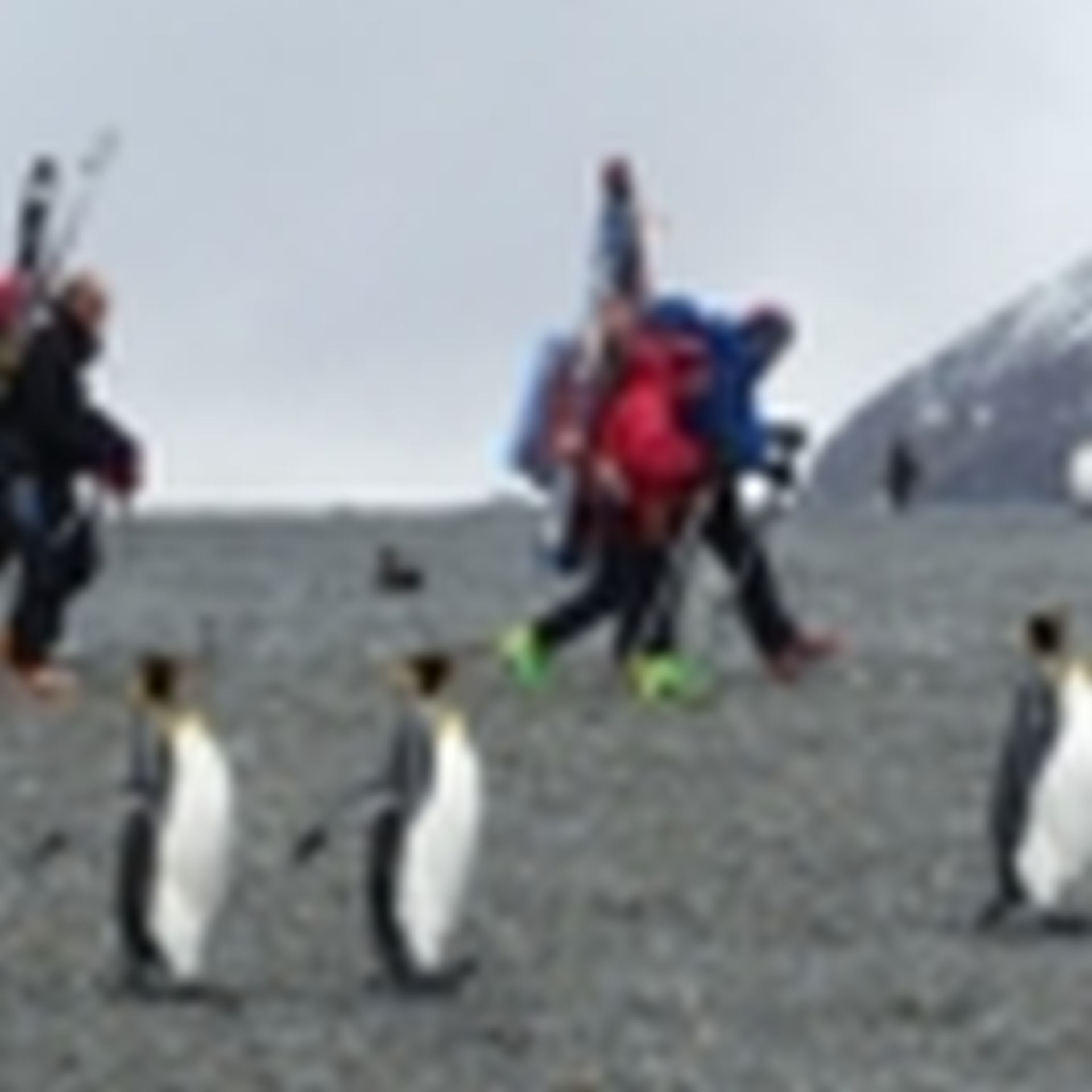Inspiring Explorers