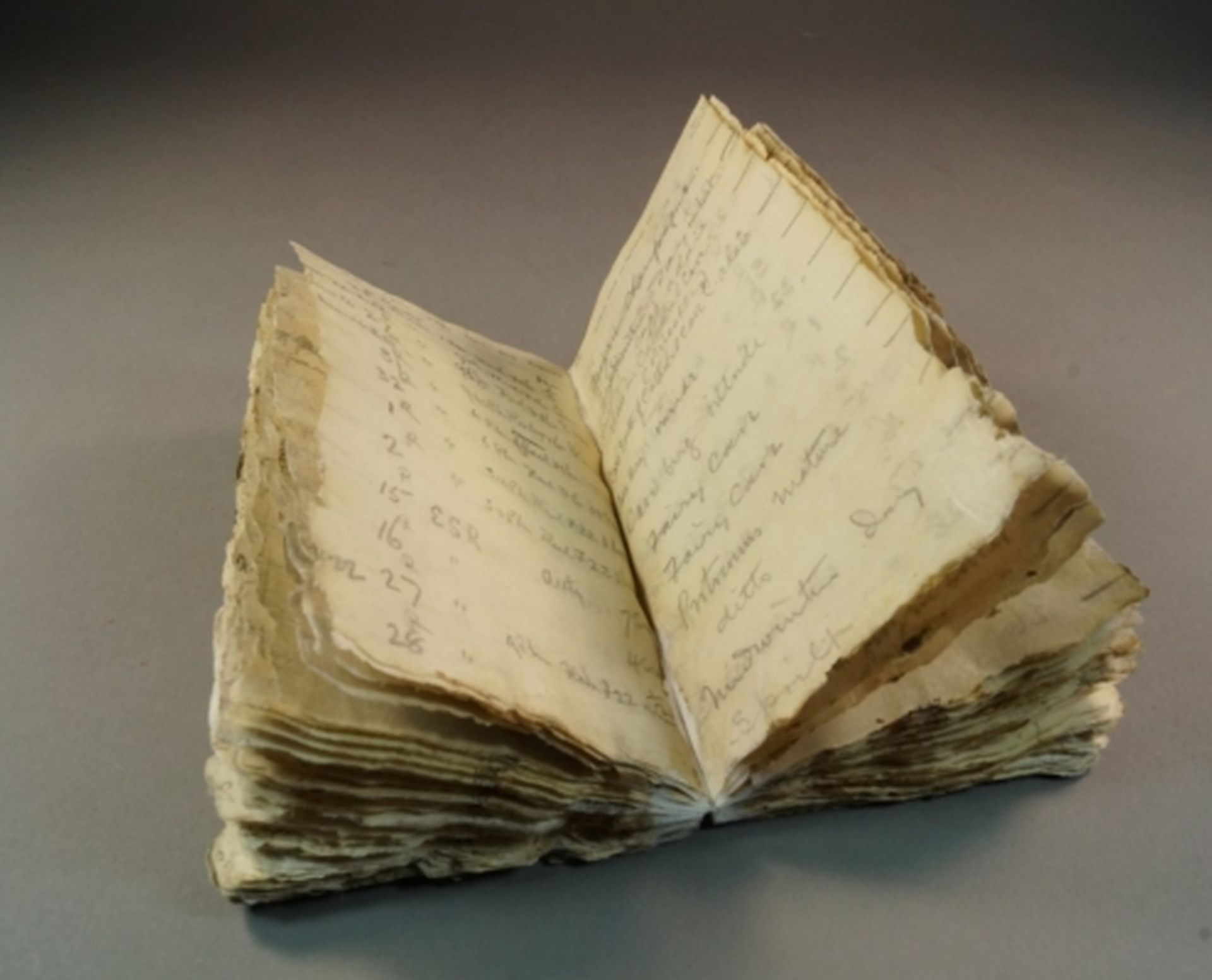 Levicks notebook