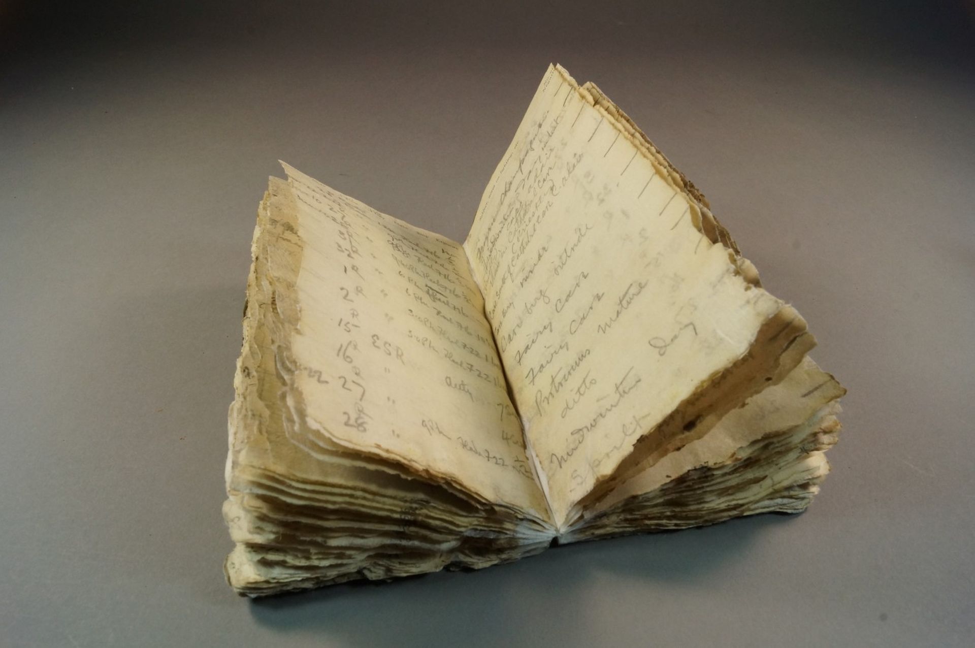 Levick's notebook after restoration by the Trust
