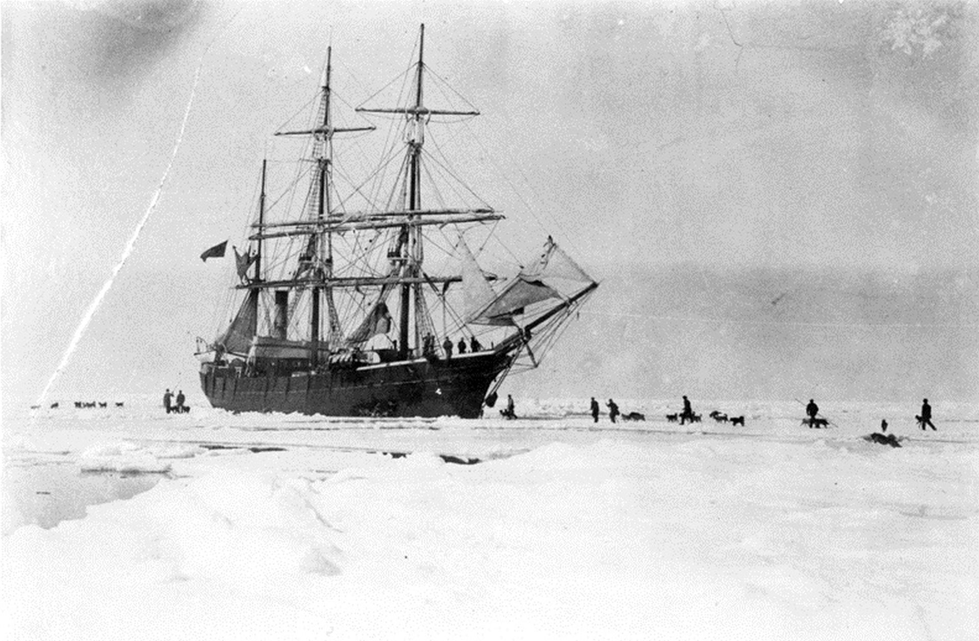 While in the pack ice they took the chance to exercise the dogs. ca 1899.