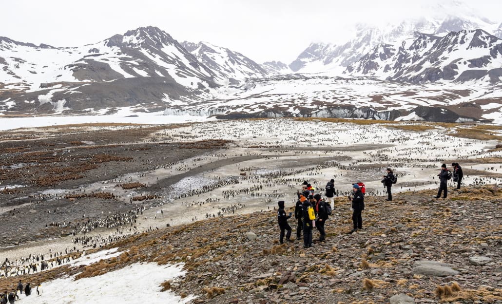A group of people standing on a rocky slope, looking out over a penguin colony with snowy mountains in the background.
