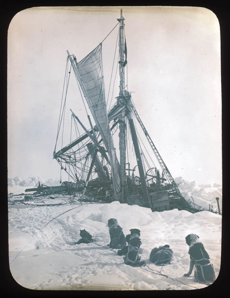 An old photo of a sailing ship crushed by ice, with sled dogs nearby.