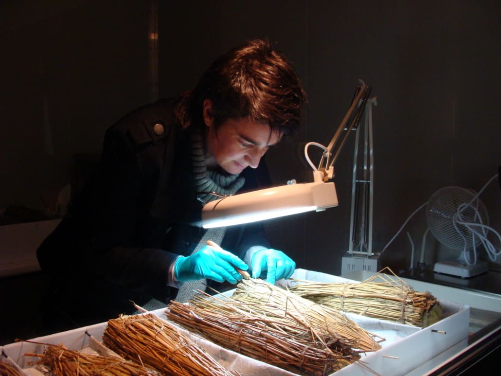 2010 Lizzie Meek working in the refrigerated container inside Canterbury Museum. ©AHT