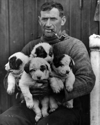 #OnThisDay in 1938, Antarctic explorer Tom Crean died aged 61 after falling ill with suspected appendicitis. Delays in getting surgery led to infection and he died a week later. Crean was buried in the family tomb in Ballynacourty near the 'South Pole Inn', the pub which he opened in 1927.

Crean, was born 1877 at Annascaul, County Kerry, Ireland. Aged 16, he joined the Royal Navy and by age 22 was Petty Officer. He was assigned to HMS Ringarooma, and in December 1901 was in Christchurch, New Zealand, the same time Scott’s 'Discovery' expedition was preparing for the journey south. Scott was looking for crew and Crean joined as a volunteer able seaman. He gained a reputation for being one of the most effective man-haulers and was extremely well-liked and respected by the crew of 'Discovery'.

Crean returned to Antarctica as an expert sledger and pony handler for the British Antarctic 'Terra Nova' Expedition 1910-1913. He was involved in preparations and depot laying for the Polar Party, however along with Lashly and Evans, wasn't selected as part of the Party to make the final 160-mile push for the pole. On their return to Hut Point, Evans developed snow blindness and showed signs of scurvy. With supplies dwindling Crean went for help and Lashly stayed with Evans. Crean made the 18-hour journey to Hut Point to get help with little food or supplies and Lashly and Evans were successfully rescued. He was awarded the Polar and Albert medals for his part in the expedition and for saving Evans' life.

Crean’s final Antarctic expedition was Shackleton’s Imperial Trans-Antarctic 'Endurance' Expedition 1914-1917, where he was appointed Second Officer. His tough nature and resilience were demonstrated again when 'Endurance' was crushed by sea ice in the Weddell Sea and he was selected by Shackleton to sail to South Georgia on one of the greatest small-boat journeys in history! After landing on the south coast of South Georgia, Crean, Shackleton and Worsley endured 36-hours of grueling travel on foot to arrange rescue for the remaining men stranded at Elephant Island.

📸 Tom Crean 1914-16. Photographer Frank Hurley, Public Domain.

#inspire #explore r #conserve