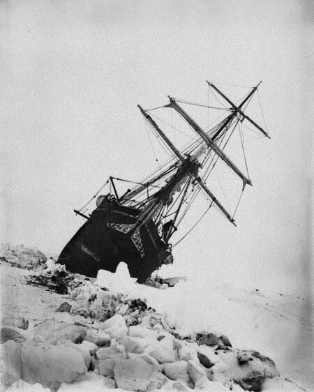 #OnThisDay in 1914, Ernest Shackleton's Imperial Trans-Antarctic 'Endurance' Expedition 1914-1917, departed for South Georgia.

Less than one week prior to his departure, on 28 July, Austria-Hungary declared war on Serbia. This quickly led to a collapse in peace between Europe’s great powers. On August 4, while anchored off Southend, he read in a daily newspaper the order for general mobilisation of troops and supplies along with calls for volunteer soldiers. Shackleton immediately returned to the 'Endurance', gathered all hands, and told his men that he would send a telegram to the Admiralty offering the ships, stores and services to the country in the event of war breaking out. Within an hour after sending the telegram, Shackleton received a reply from the Admiralty with the single word "Proceed". Within two hours, another arrived from Winston Churchill in which he thanked them for their offer but desired that the Trans-Antarctic expedition go on. That night, World War I broke out after German troops crossed the border into Belgium.

Shackleton's original plans for the expedition were to complete an 1,800 mile journey across the Antarctic continent via the South Pole. A supporting party, called the 'Ross Sea Party' were tasked to lay supply depots from the Ross Sea region of the continent to enable the journey. However, early onset ice in the Weddell Sea slowed Shackleton's progress, and eventually resulted in the 'Endurance' becoming frozen in an ice floe. These events subsequently led to one of the most famous rescue stories of all time!

📸 The 'Endurance' stuck in sea ice, Canterbury Museum.

#OTD #inspire #explore #discover #conserve #antarctica