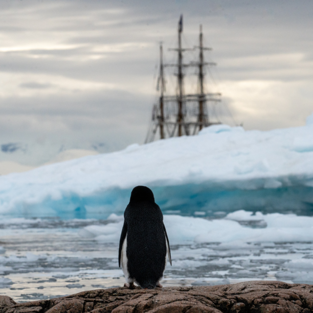 Stand by for an exciting announcement! 

Can you guess what we will be doing for our next Inspiring Explorers Expedition™?

Be sure to follow us and keep your eye on our socials next week! 

P.S. Might be time to dust off those sea legs.

📷 © Matthew Lynch

#InspiringExplorersExpedition