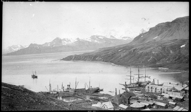 #OnThisDay in 1921, Shackleton's final expedition to Antarctica, the Shackleton-Rowett 'Quest' Expedition 1921-22, left Plymouth bound for Antarctica! 

Four months later on 4 January 1922, Quest arrived at Grytviken whaling station, South Georgia, abruptly followed by the passing of Shackleton on the following day.

📸 The 'Quest' at South Georgia, at anchor in the bay. Image by: Unknown. Original Publication: Unknown.

#OTD #inspire #explore #discover #conserve #Antarctica #shackleton #wild #questexpedition