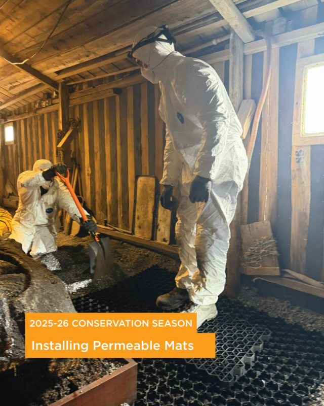 At Scott’s ‘Terra Nova’ hut at Cape Evans, our team of skilled Heritage Building Carpenters installed permeable mats inside the stables.

These mats will help reduce the airborne dust created by foot traffic. Airborne dust can settle on artefacts and, if it becomes wet due to moisture, can lead to corrosion or mould. The mats provide a way to reduce this risk and support the ongoing care of cultural heritage in this remarkable place.

📷Permeable mats being installed inside the stables at Scott's 'Terra Nova' hut. © AHT/Zack Bennett.