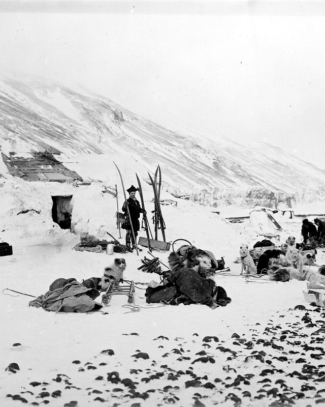 #OnThisDay in 1905, Norwegian born Per John Savio died at just 27 years old. Despite his short life, Savio’s legacy endures in the frozen landscape of Antarctica.

At 18-years-old, Savio became a member of the British Antarctic Southern Cross' Expedition in 1898-1900, led by Carsten Borchgrevink, along with fellow Sami explorer Ole Must. The expedition departed from St Katherine’s Dock, London on 22 August 1898 and arrived at Cape Adare on 17 February 1899, nearly six months later.

Savio was uniquely suited for this exhibition having knowledge of traditional Sami survival skills, and a mastery of extreme cold climates and dog handling skills. Savio and Must were the first to spend the night on the Antarctic Continent when the ‘Southern Cross’ arrived at Cape Adare, along with the 75 dogs.

Savio was also part of the sled team that became the first to travel on the Ross Ice Shelf, setting a Farthest South record of 78° 50′S. His expertise, particularly in dog handling and survival, was instrumental not only in achieving this milestone, but in ensuring the expedition’s survival.

Today, we remember Savio not only for his courage, but as a representative of the Indigenous knowledge that shaped the early history of Antarctic exploration.

Antarctic Heritage Trust is proud to care for Borchgrevink's hut at Cape Adare. The site is important not only for its role in the exploration of Antarctica but is also the only example left of humanity's first building on any continent.

📸 ��The firsts dogs in Antarctica a Cape Adare with Savio by the skis and Must and Evans in the background. Canterbury Museum.
Per Savio and Ole Must. Public Domain

#OTD #inspire #explore #discover #conserve #Antarctica